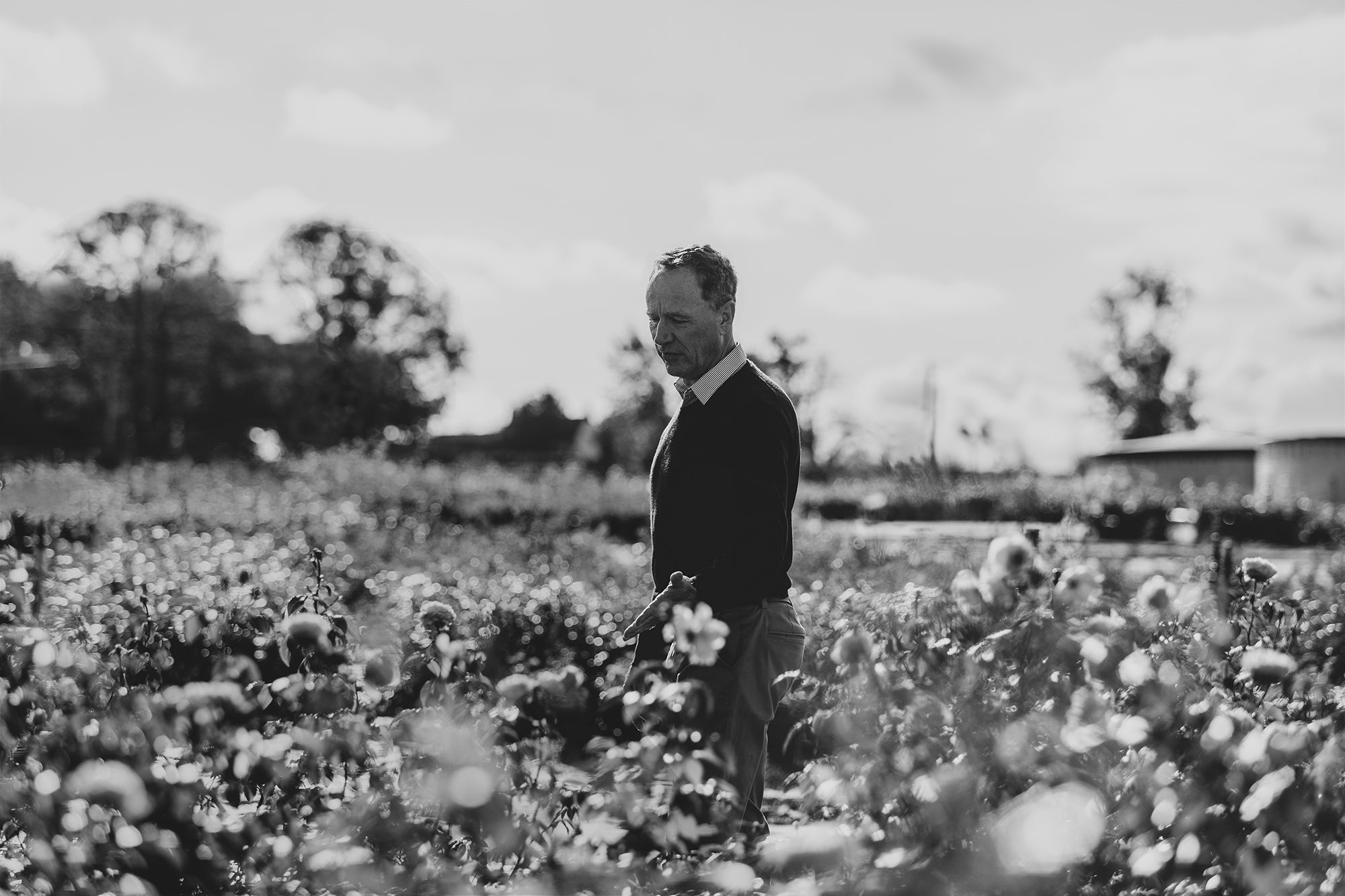 Tribute to David J. C. Austin 1958–2026