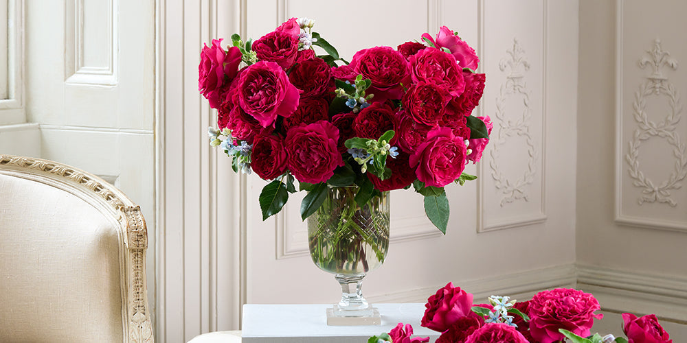 Introducing The Colour Collection