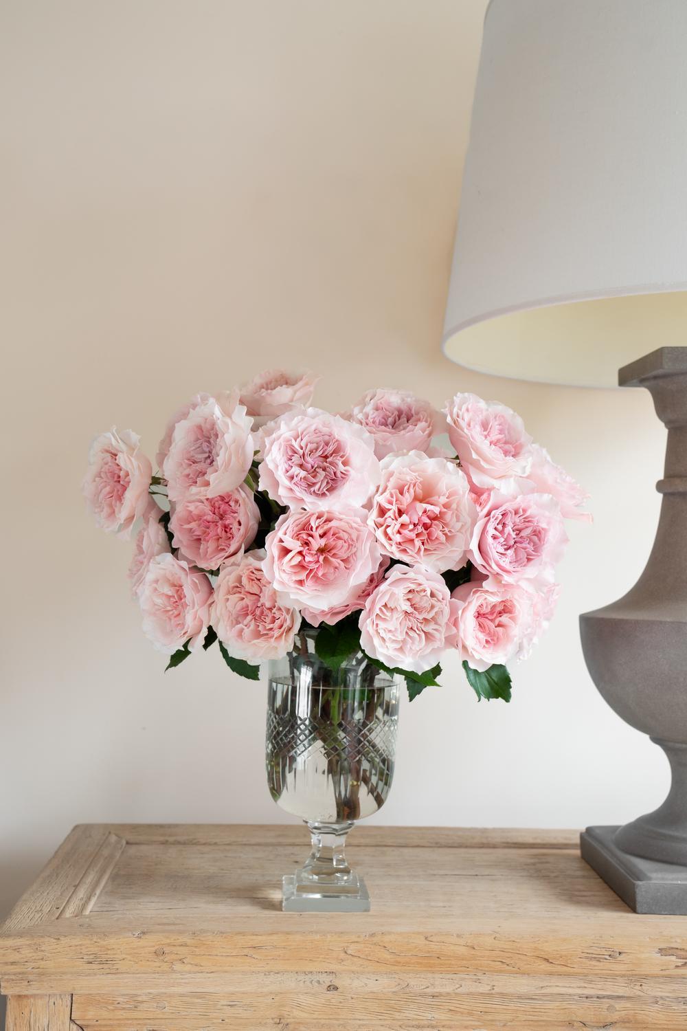 Ariadne™ Rose