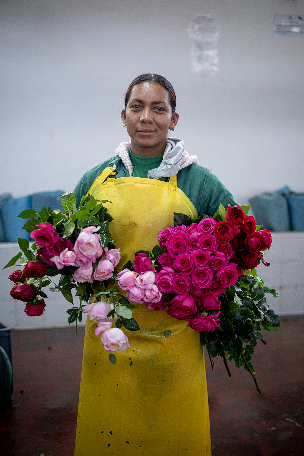 Alexandra Farms Rose Growers