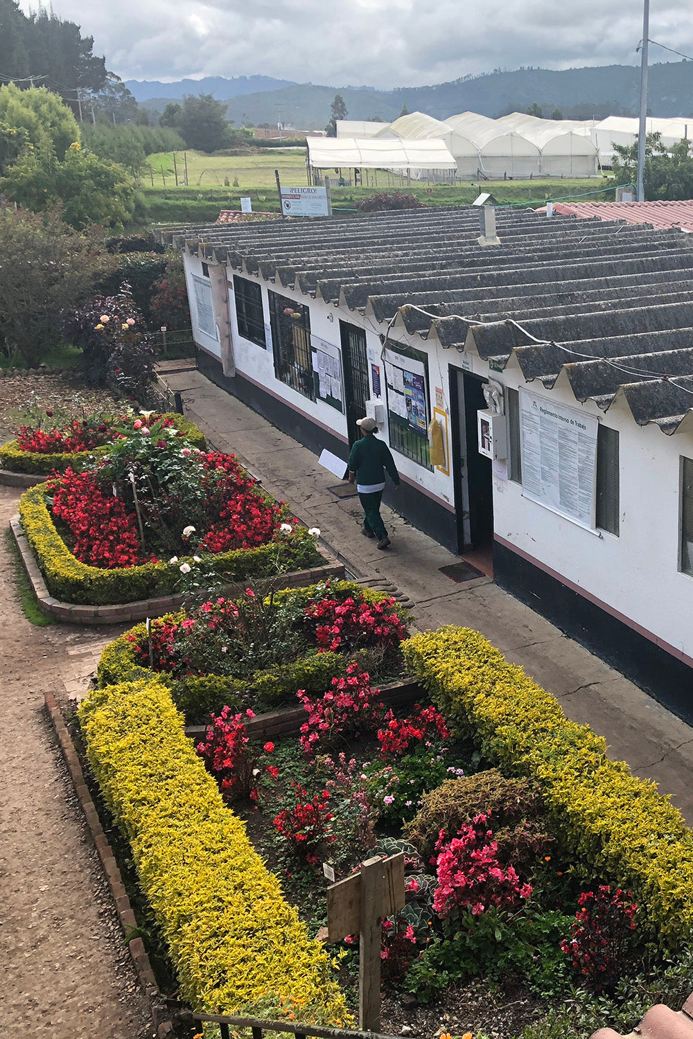 Alexandra Farms Rose Growers
