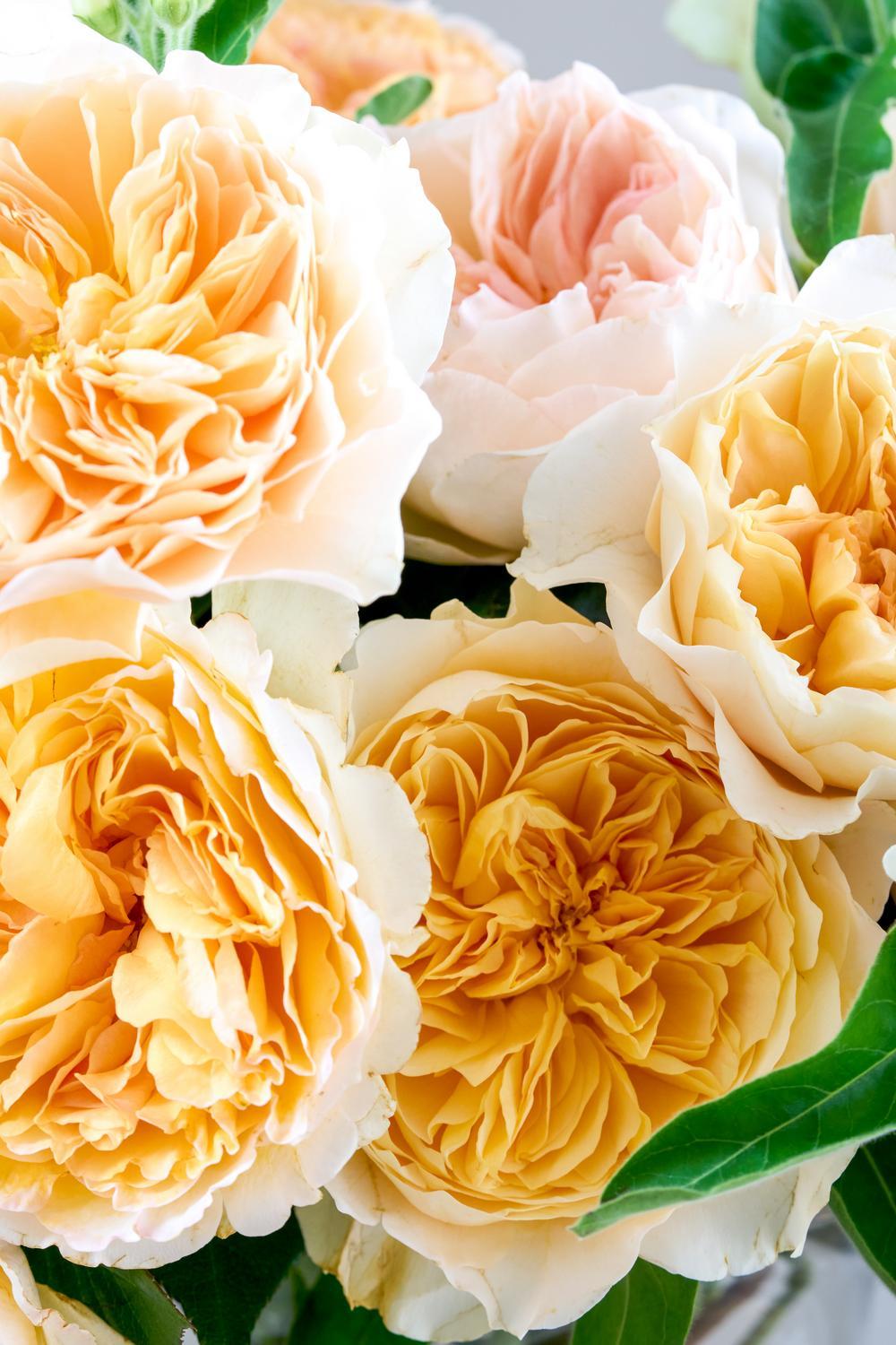 Bright Congratulations Bouquet