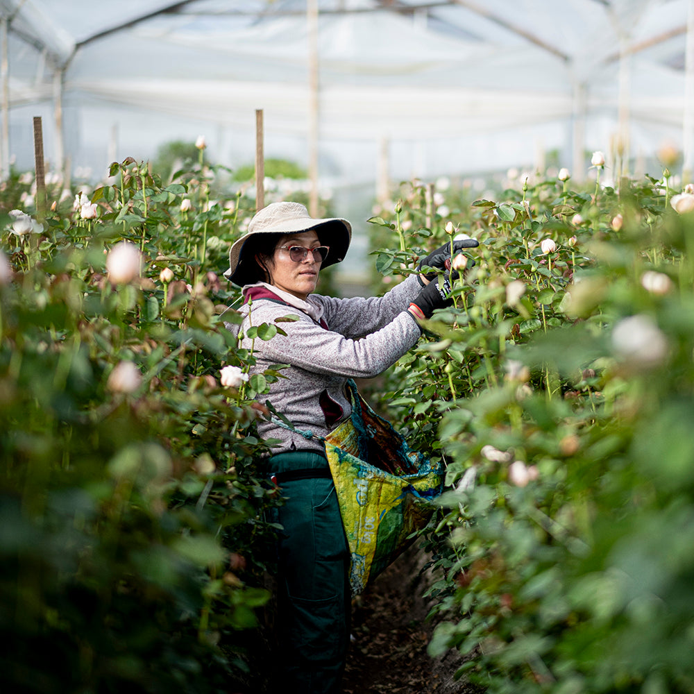 Alexandra Farms Growers