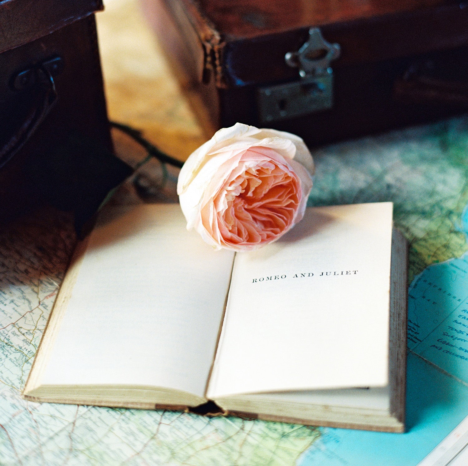 Juliet Rose David Austin Rose Bouquets