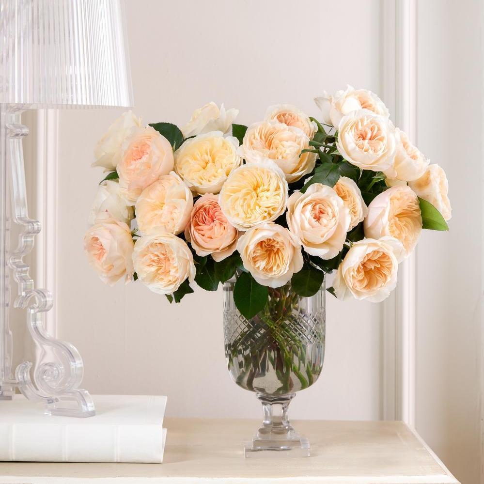 Newborn Bouquet for Every Occasion