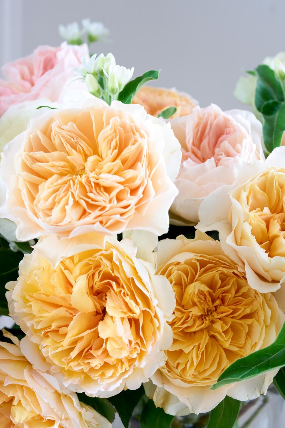 Rose Bouquet For Every Room Sorbet Shades