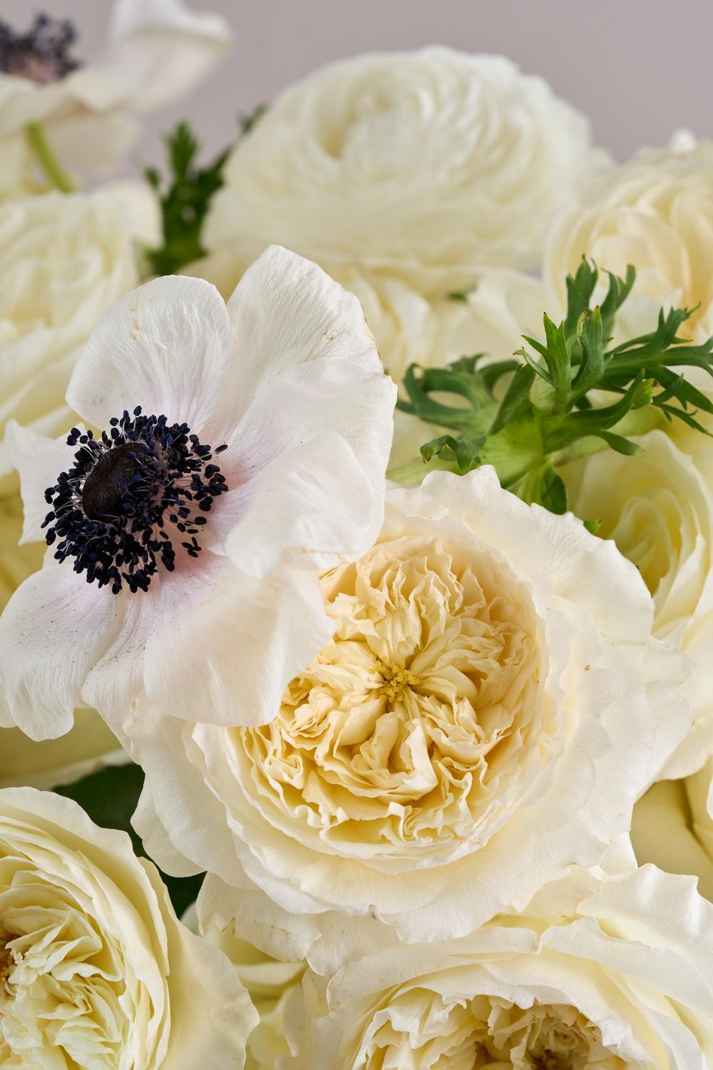 Rose Bouquet For Every Room Tailored White