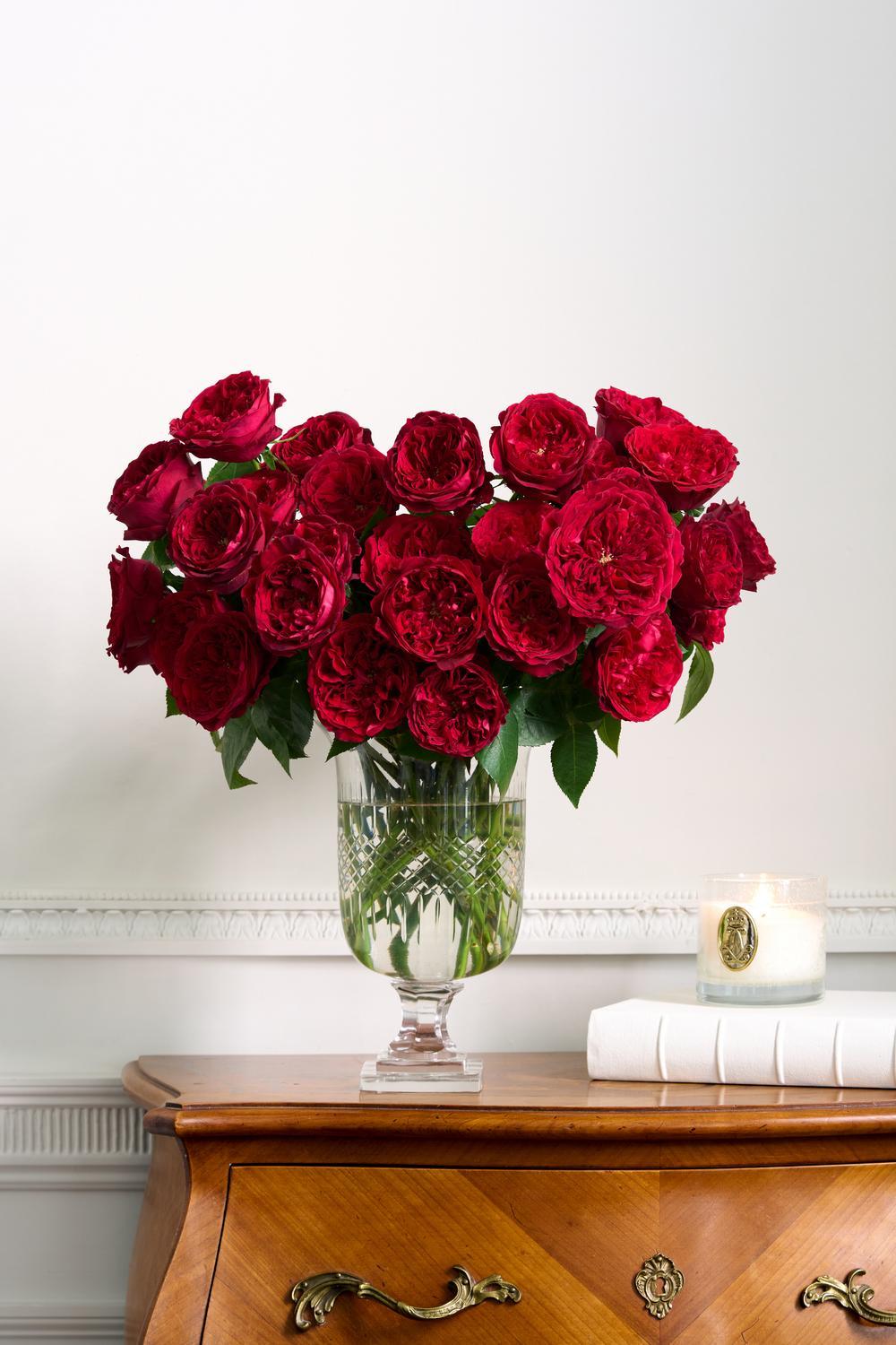 red-festive-rose-bouquets-to-give-and-receive