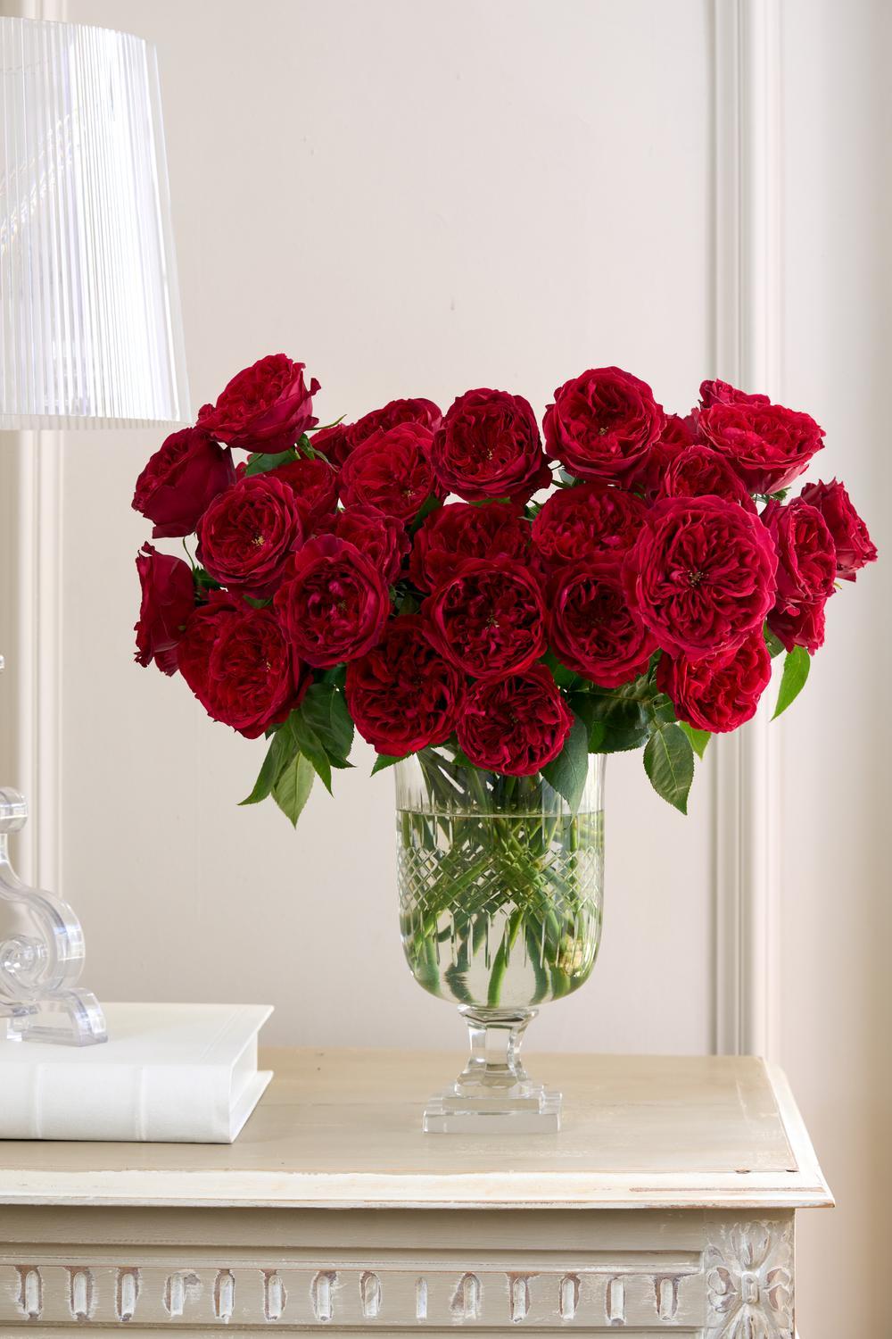 red-festive-rose-bouquets-to-give-and-receive