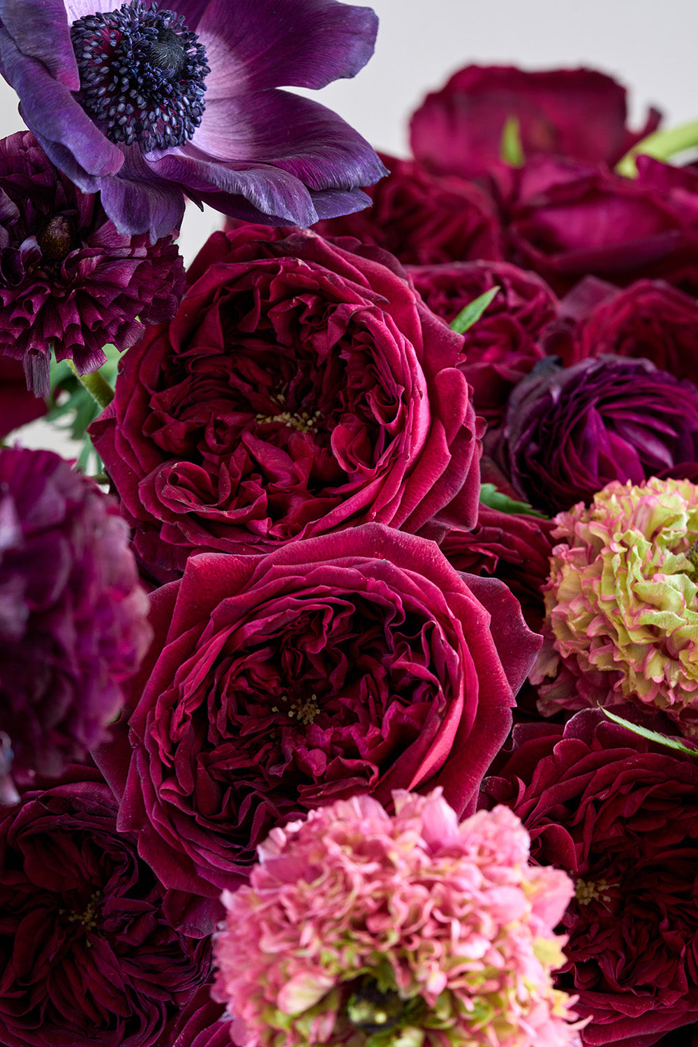 Jewel Velvet Rose Bouquet Close Up Blooms