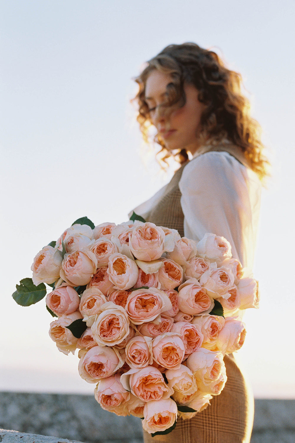 Juliet Rose Muse Oversized Bouquet David Austin Rose Bouquets