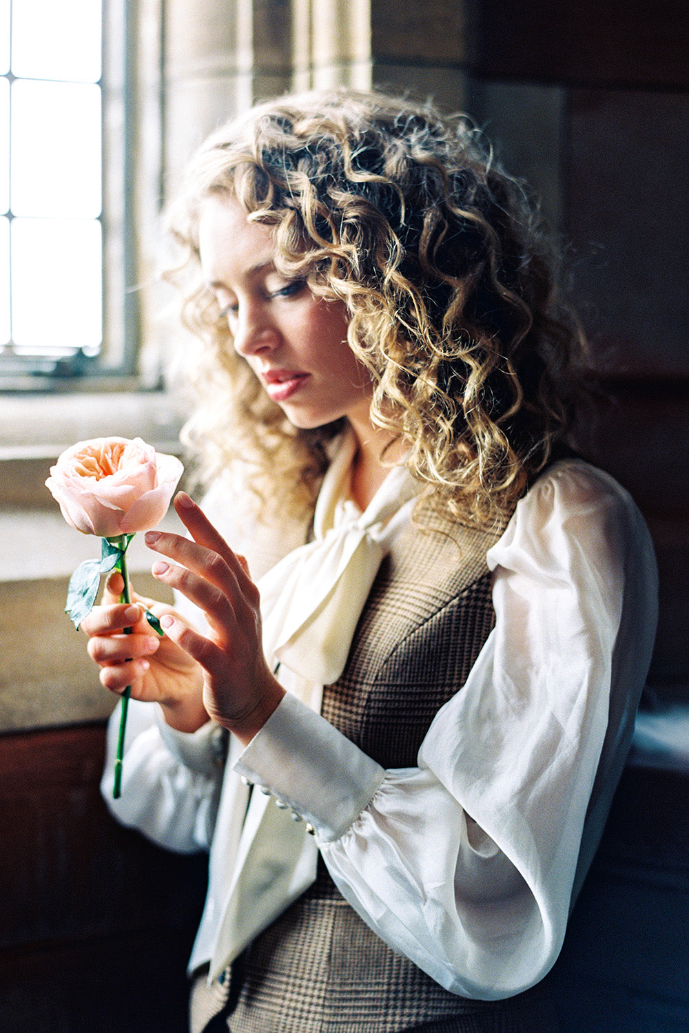 Juliet Muse Single Stem Rose