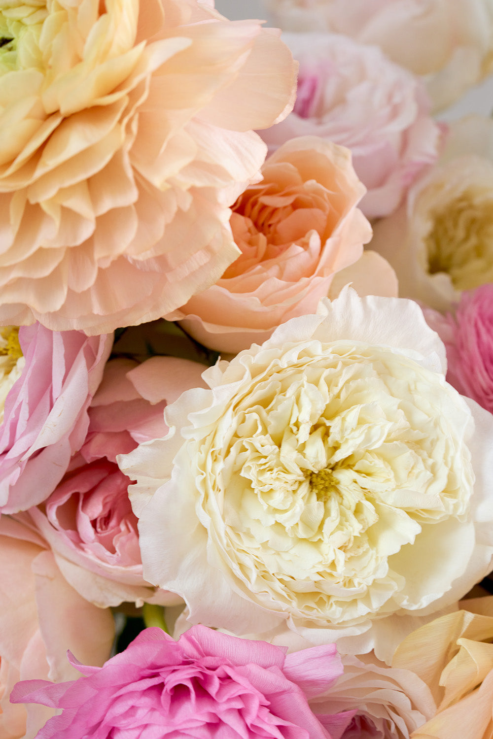 Pastel Chenille Rose Bouquet Close Up Blooms