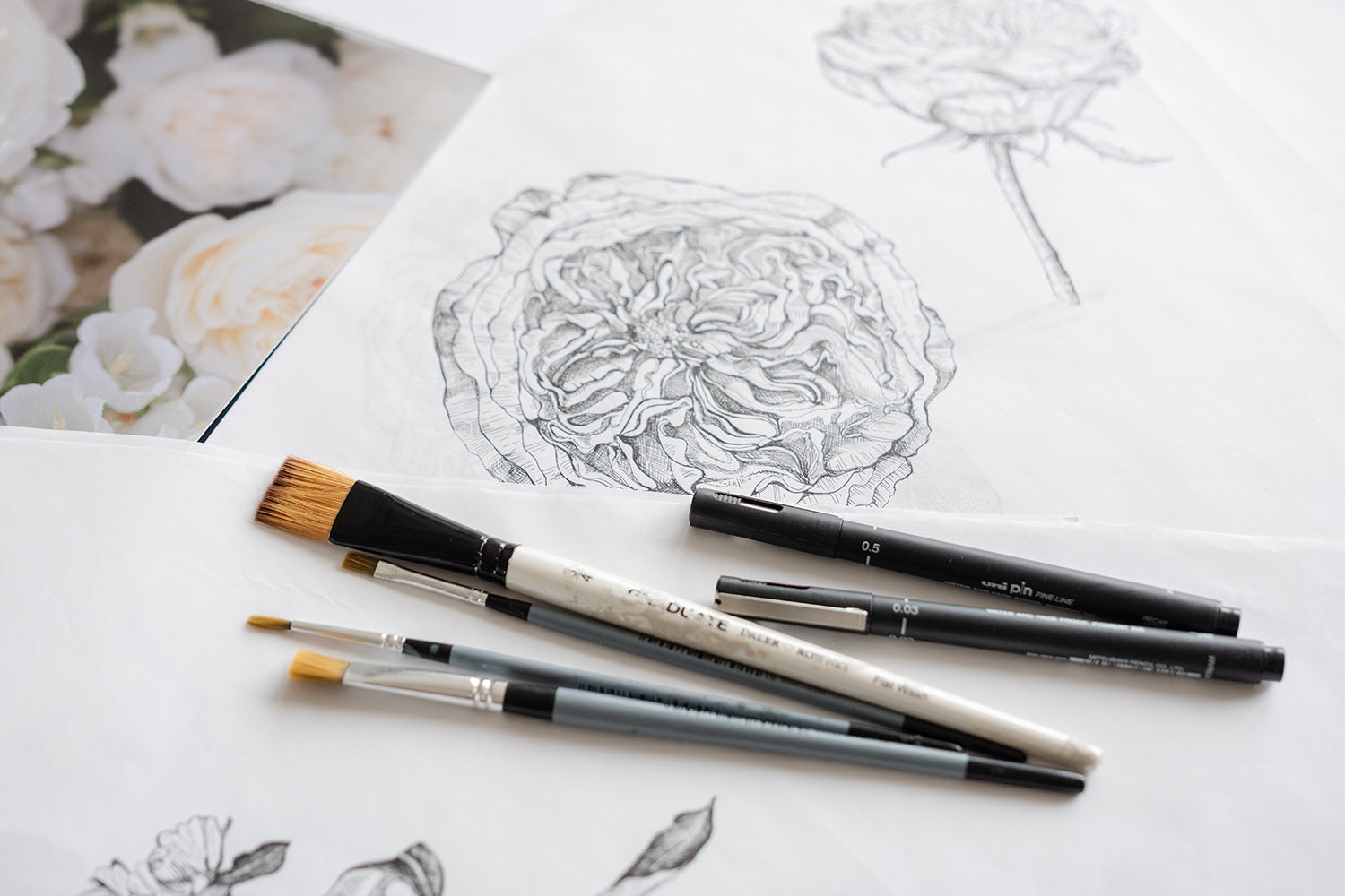 David Austin Rose Bouquets Botanical Illustrations