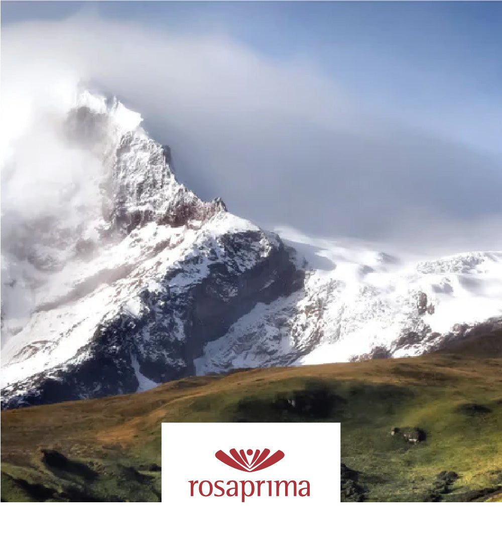 Rosaprima Rose Growers