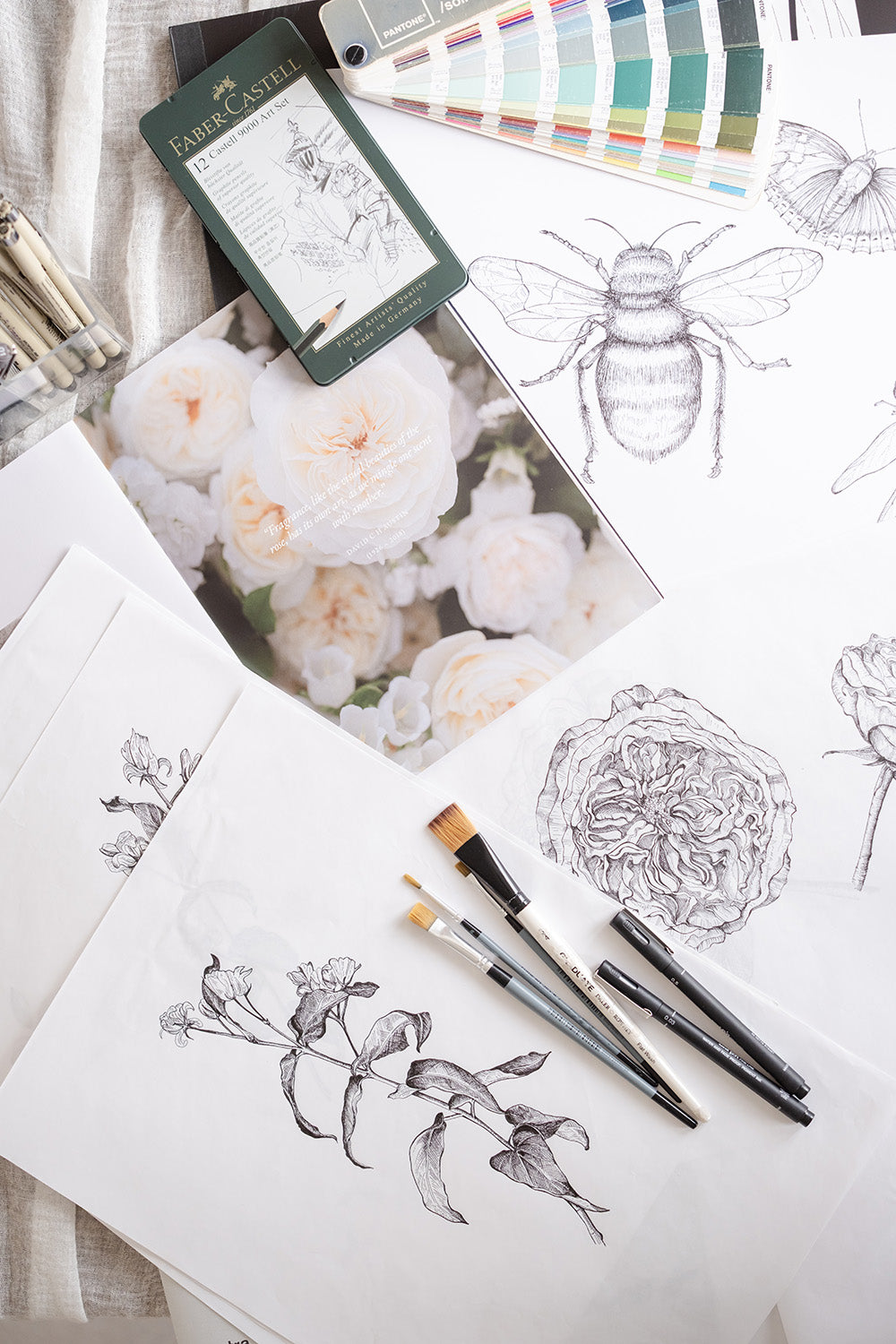 David Austin Rose Bouquets Botanical Illustrations