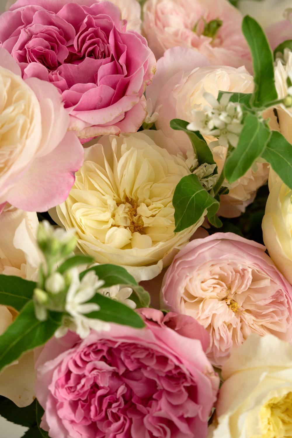 A close-up bouquet of layered roses in soft pink, blush, cream, and pale yellow tones, interspersed with green leaves and small white flowers.