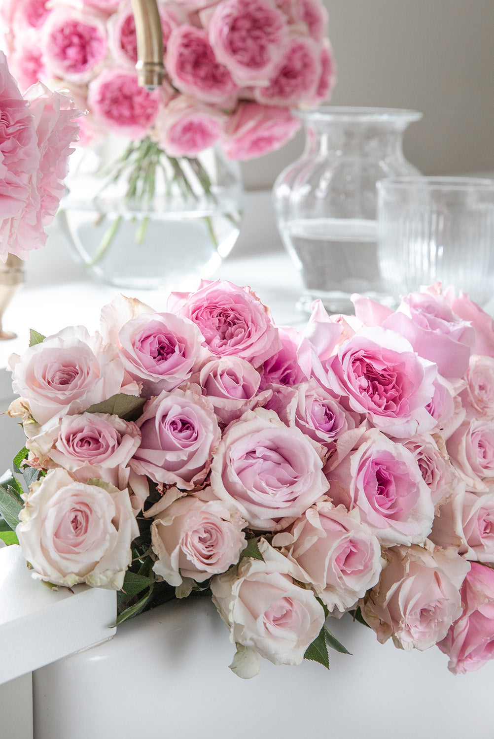 Miranda Closed Bud Roses