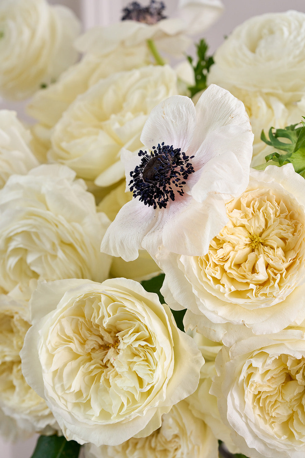 Tailored White Rose Bouquet Close Up Blooms