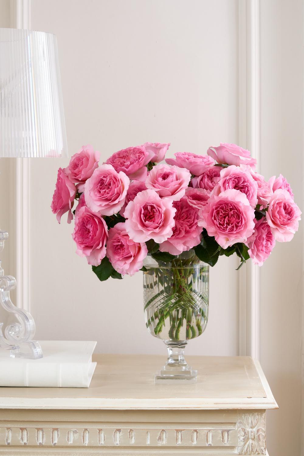 The Boutique Collection