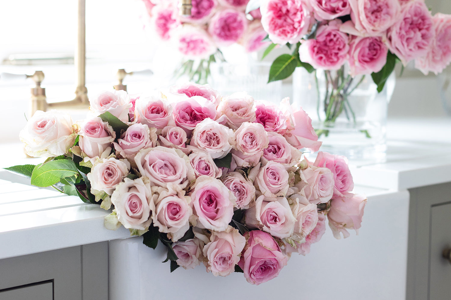 Sleeping Beauties | Rose Care | David Austin Rose Bouquets