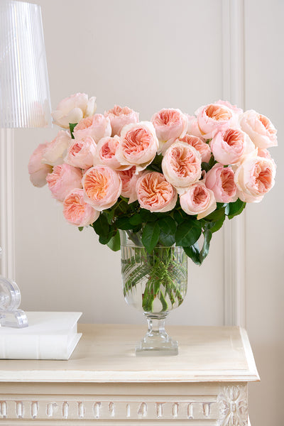 juliet-david-austin-rose-