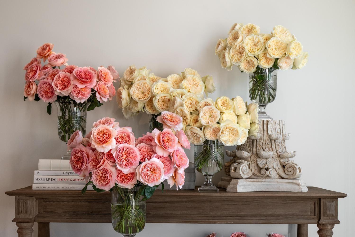 pink and cream roses