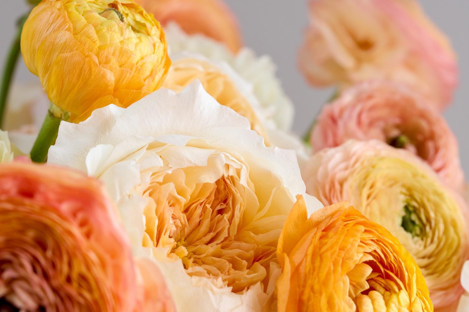 Press and Media David Austin Rose Bouquets