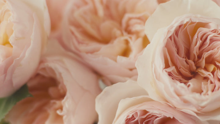 David Austin Rose Bouquets