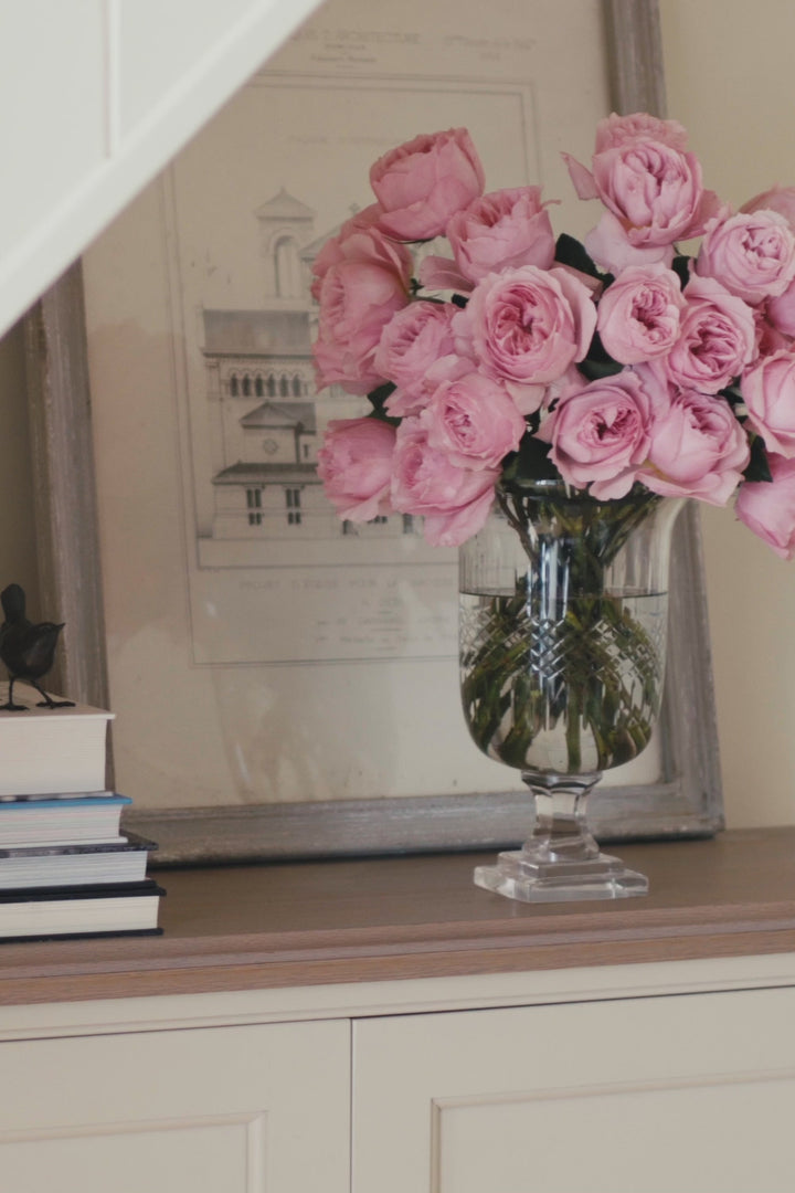 Ottilie™ Rose