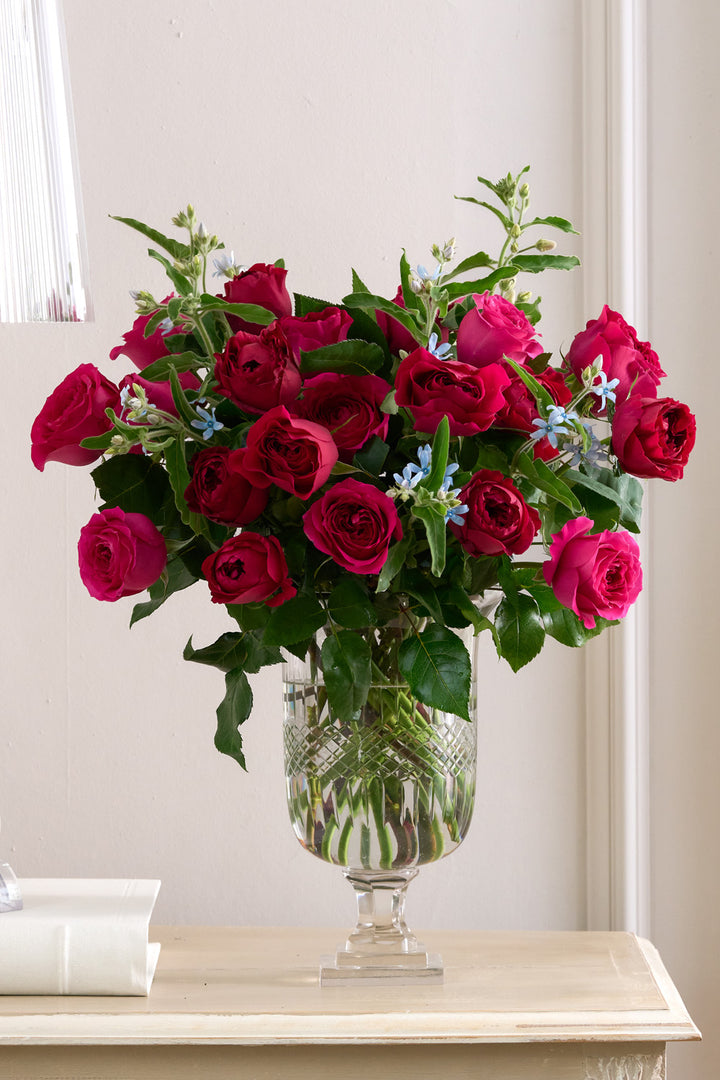 Mooloolaba Reds Roses Berry Reds | Red Roses | David Austin Rose Bouquets