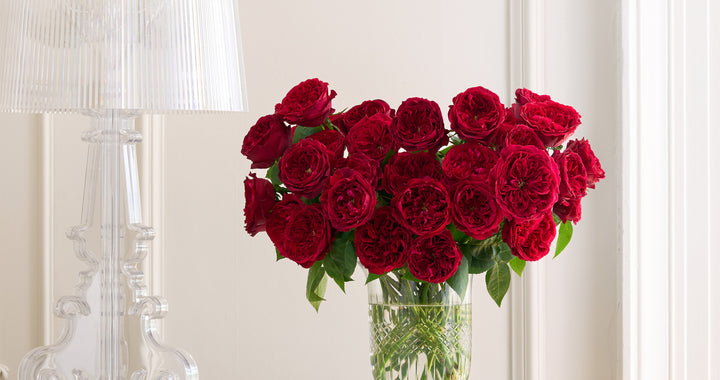 Tess Rose Bouquet Opening